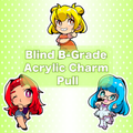 Blind B-Grade Acrylic Charm Pull (Random)